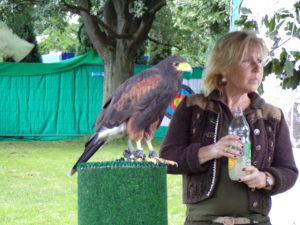 Raubvögel auf dem Seefest 1